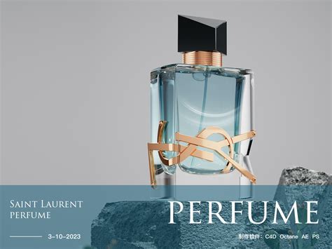 xpress ysl tonerkosten